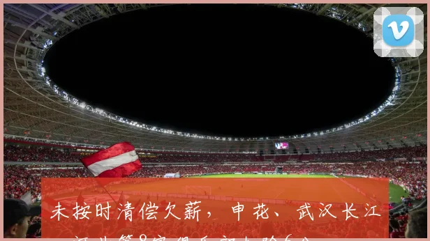未按时清偿欠薪，申花、武汉长江、河北等8家俱乐部扣除6分